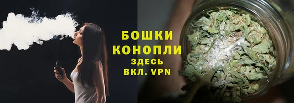 прущая мука Корсаков