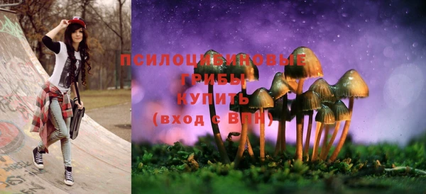 спиды Кукмор