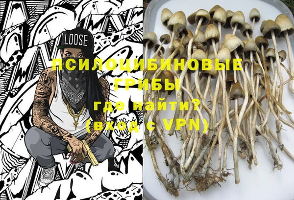 спиды Кукмор