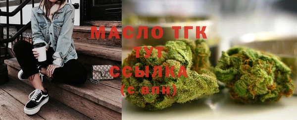 стафф Галич