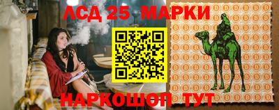 ешки Вязьма